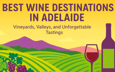 Best Wine Destinations in Adelaide: Vineyards, Valleys, and Unforgettable Tastings